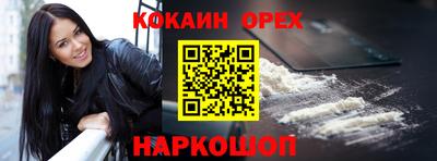 мет Кингисепп