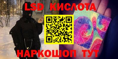 мет Кингисепп