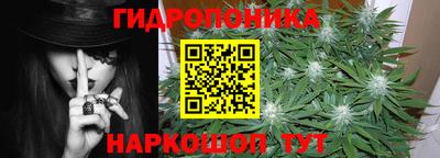 крисы Кинель