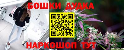 крисы Кинель