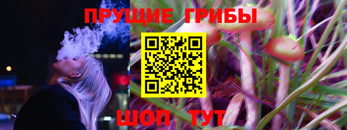 Псилоцибиновые грибы мицелий  Вход с VPN  Красноуфимск 